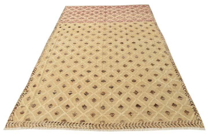6' 6 x 9' 10 Hand Knotted Darya Wool Rug