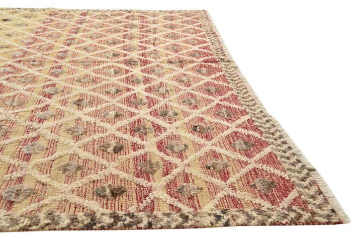 6' 6 x 9' 10 Hand Knotted Darya Wool Rug