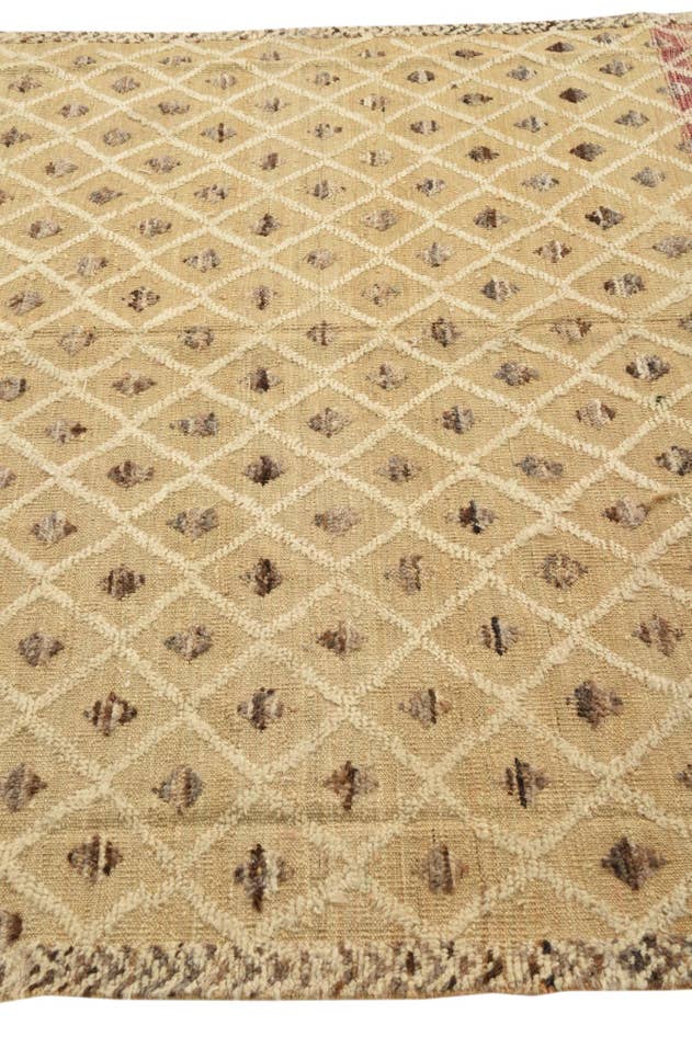 Detail image of 6' 6 x 9' 10 Hand Knotted Darya Wool Rug