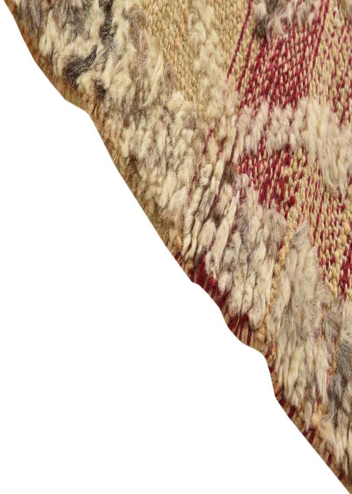 6' 6 x 9' 10 Hand Knotted Darya Wool Rug