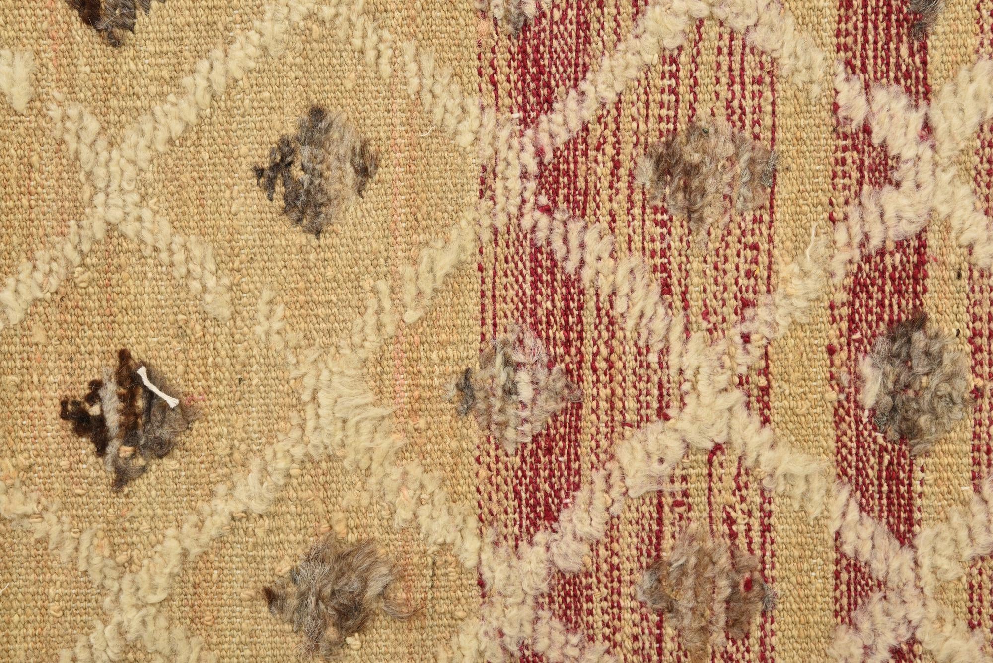 6' 6 x 9' 10 Hand Knotted Darya Wool Rug