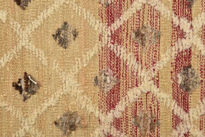 6' 6 x 9' 10 Hand Knotted Darya Wool Rug