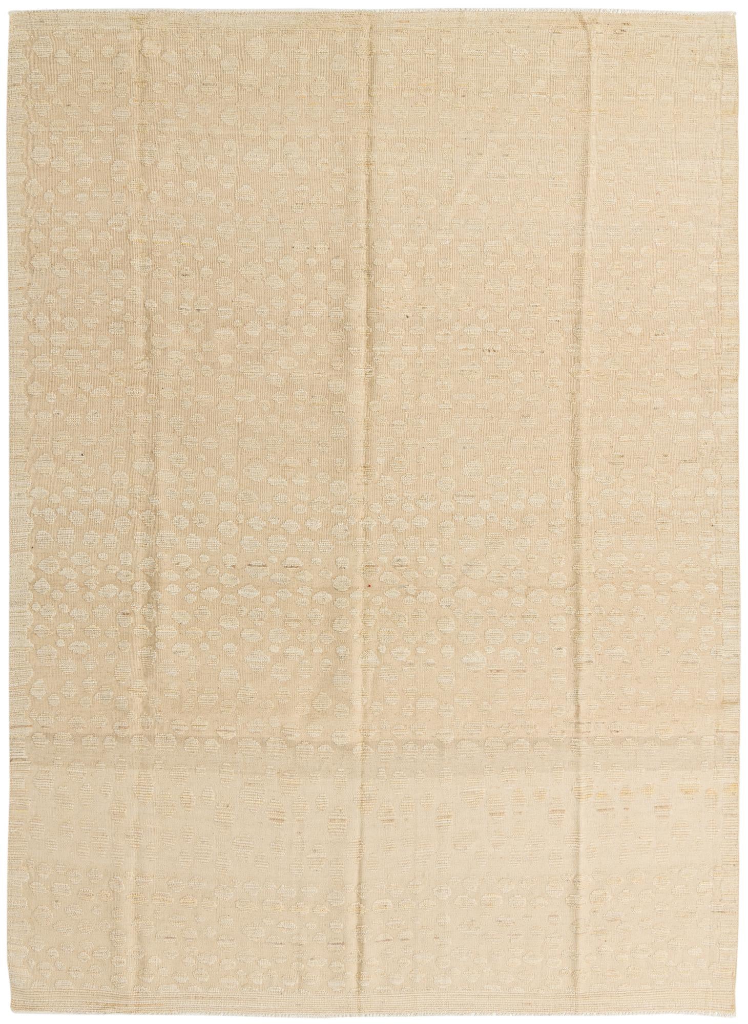 9' 1 x 12' 5 Hand Knotted Darya Wool Rug