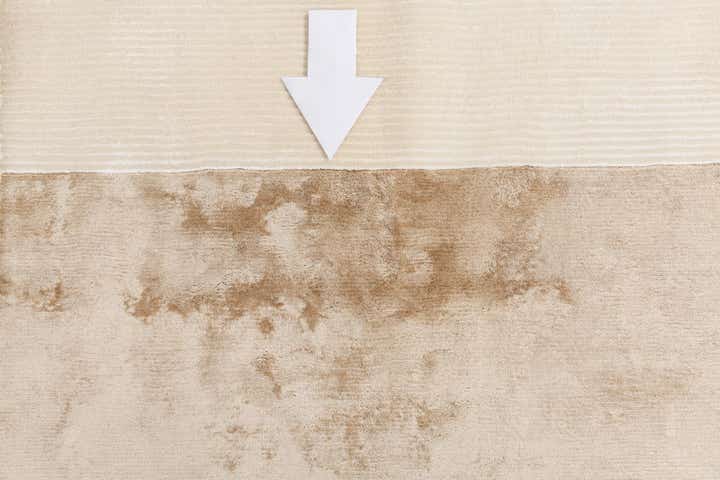 7' 10 x 9' 9 Hand Knotted Darya Wool Rug