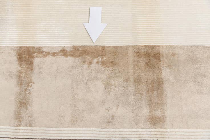 Detail image of 7' 9 x 9' 10 Hand Knotted Darya Wool Rug