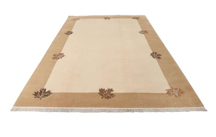 6' 6 x 10' Hand Knotted Darya Wool Rug