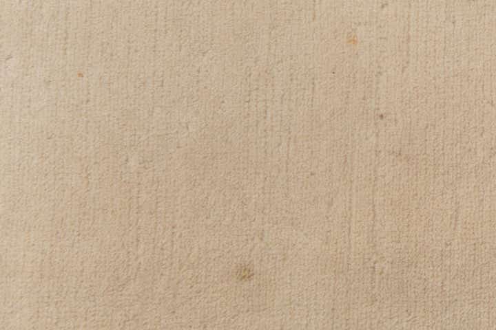 6' 6 x 10' Hand Knotted Darya Wool Rug