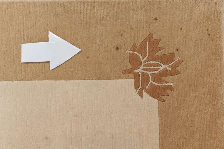 6' 6 x 10' Hand Knotted Darya Wool Rug