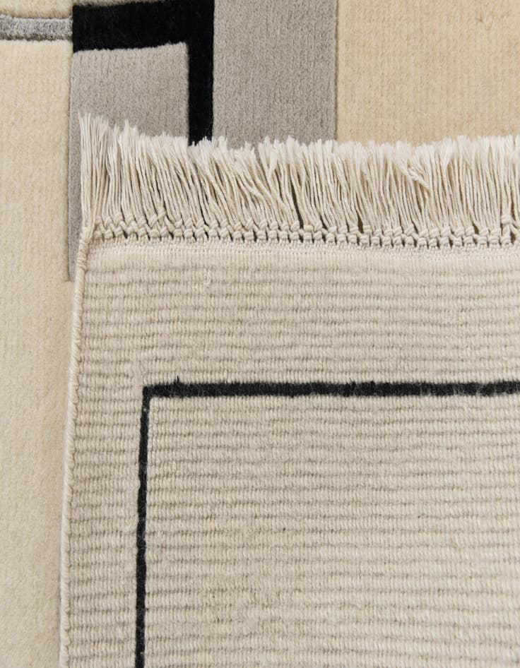 Detail image of 6' 9 x 9' 5  Hand Knotted Darya Wool Rug