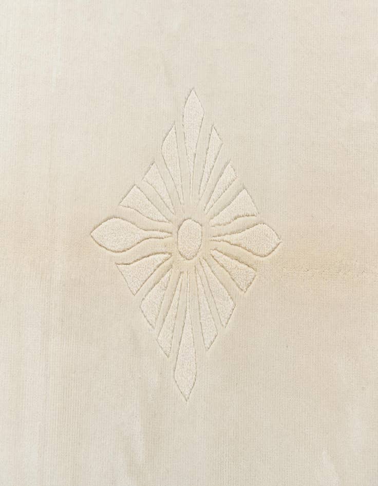 Detail image of 6' 10 x 9' 7  Hand Knotted Darya Wool Rug