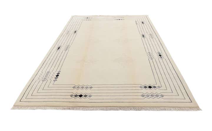 6' 8 x 10' Hand Knotted Darya Wool Rug