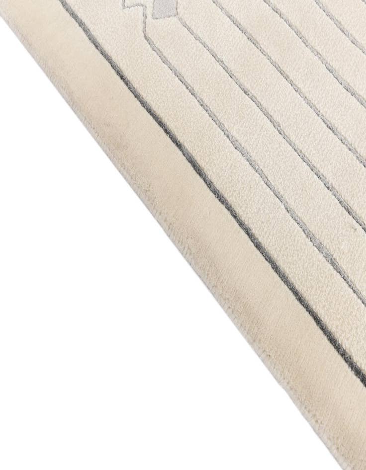 Detail image of 6' 8 x 10'  Hand Knotted Darya Wool Rug