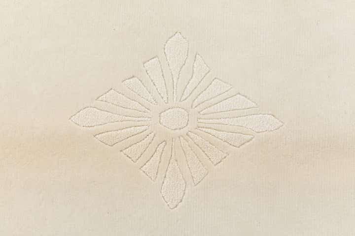 6' 8 x 10' Hand Knotted Darya Wool Rug