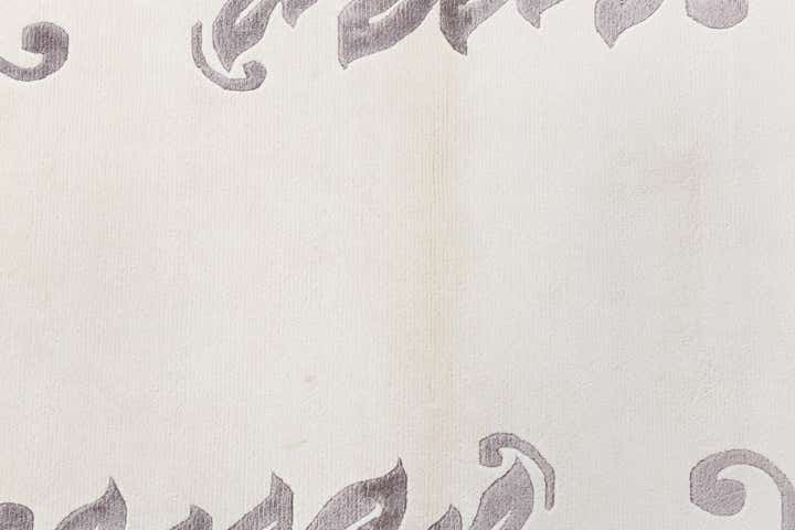 2' 9 x 5' Hand Knotted Darya Wool Rug