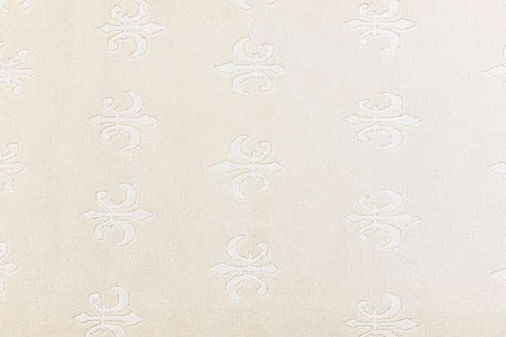 6' 9 x 9' 11 Hand Knotted Darya Wool Rug