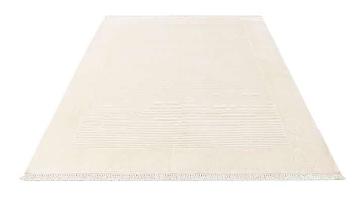 4' 10 x 6' 7 Hand Knotted Darya Wool Rug