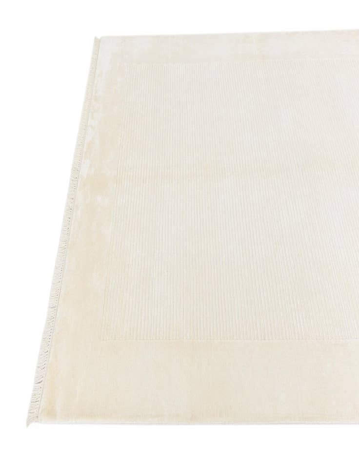 Detail image of 4' 10 x 6' 7  Hand Knotted Darya Wool Rug