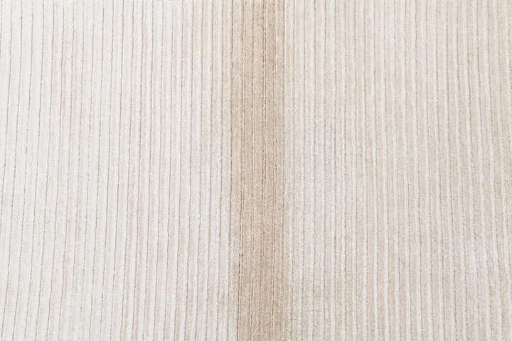 2' 7 x 5' Hand Knotted Darya Wool Rug