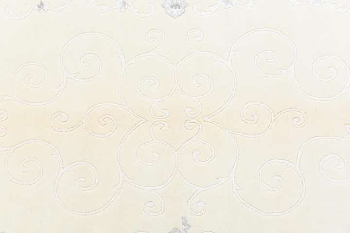 4' 9 x 6' 7 Hand Knotted Darya Rug
