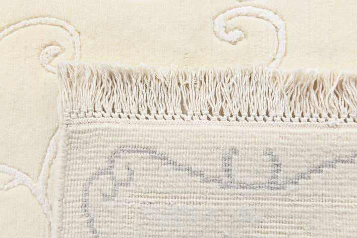 4' 9 x 6' 7 Hand Knotted Darya Rug