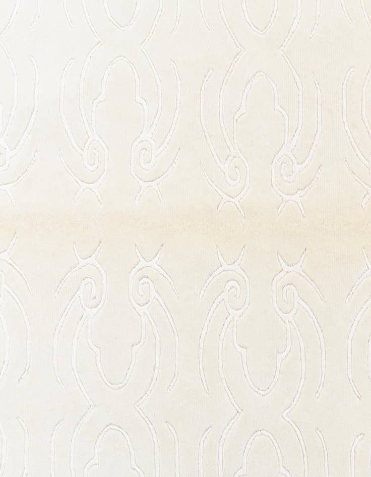 Detail image of 4' 9 x 6' 8  Hand Knotted Darya Wool Rug