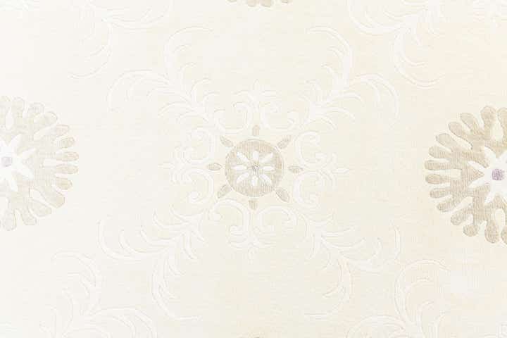 5' 6 x 8' Hand Knotted Darya Wool Rug