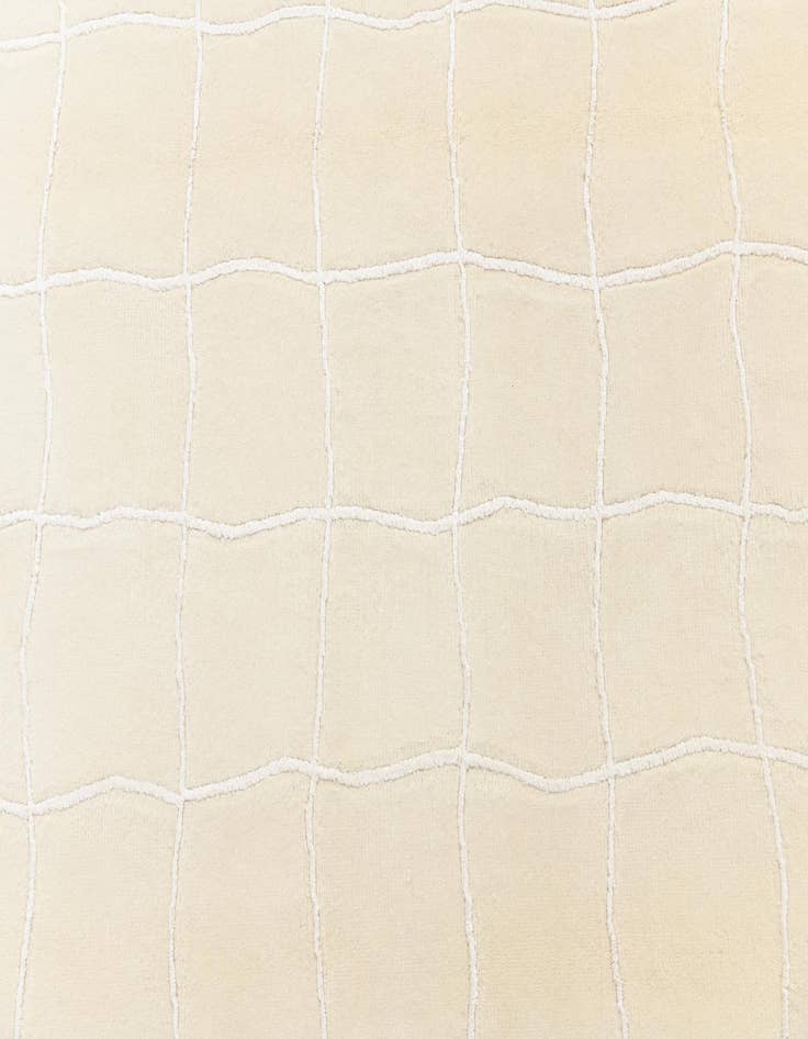 Detail image of 5' 5 x 7' 10  Hand Knotted Darya Rug