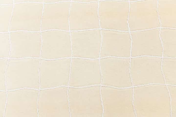 5' 5 x 7' 10 Hand Knotted Darya Rug