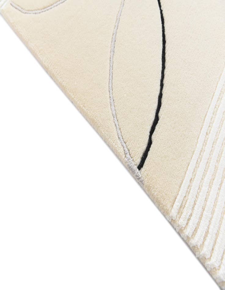 Detail image of 6' 7 x 9' 10  Hand Knotted Darya Rug