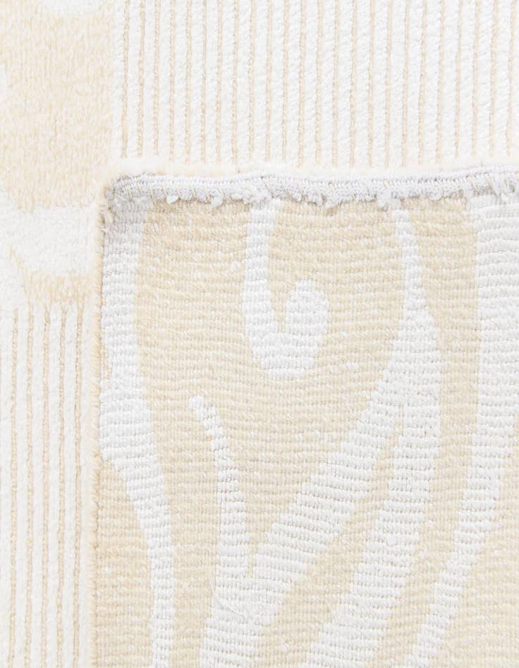 Detail image of 2' 8 x 5' 1  Hand Knotted Darya Wool Rug