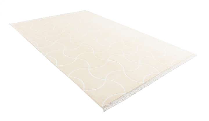 6' 7 x 10' Hand Knotted Darya Wool Rug