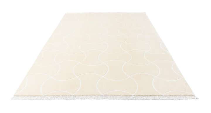 6' 7 x 10' Hand Knotted Darya Wool Rug