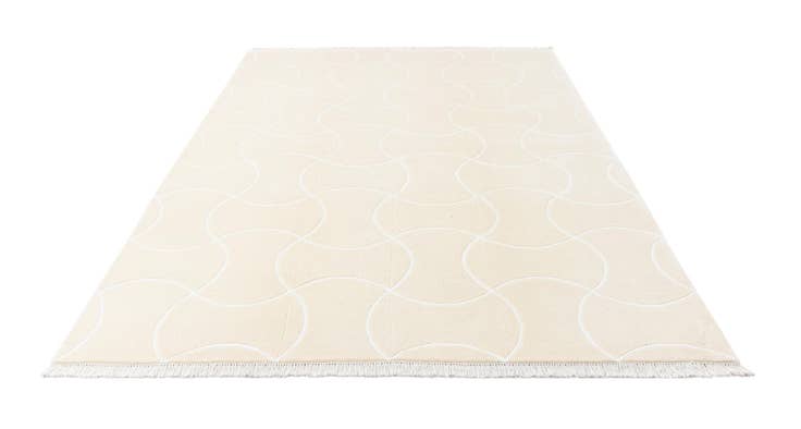 Detail image of 6' 7 x 10' Hand Knotted Darya Wool Rug