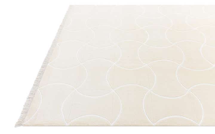 6' 7 x 10' Hand Knotted Darya Wool Rug
