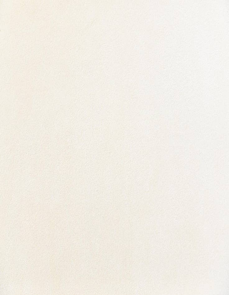 Detail image of 8' 2 x 11' 6  Hand Knotted Darya Wool Rug