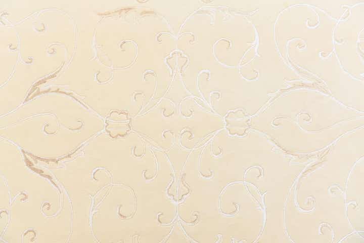 6' 8 x 9' 10 Hand Knotted Darya Rug