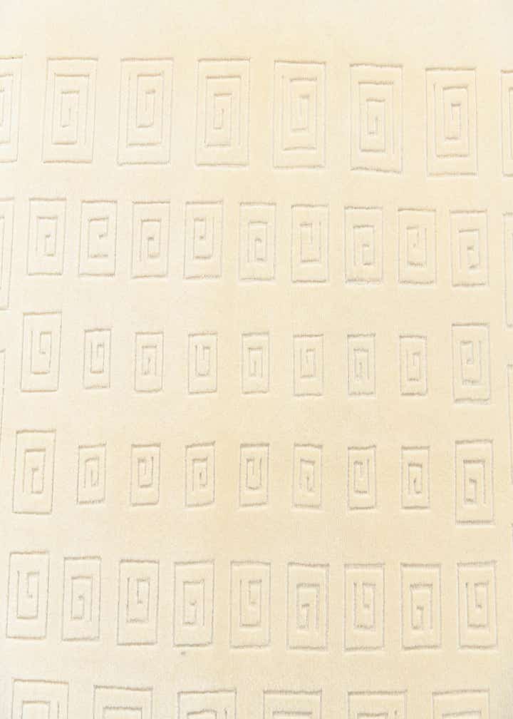 6' 8 x 9' 4 Hand Knotted Darya Wool Rug