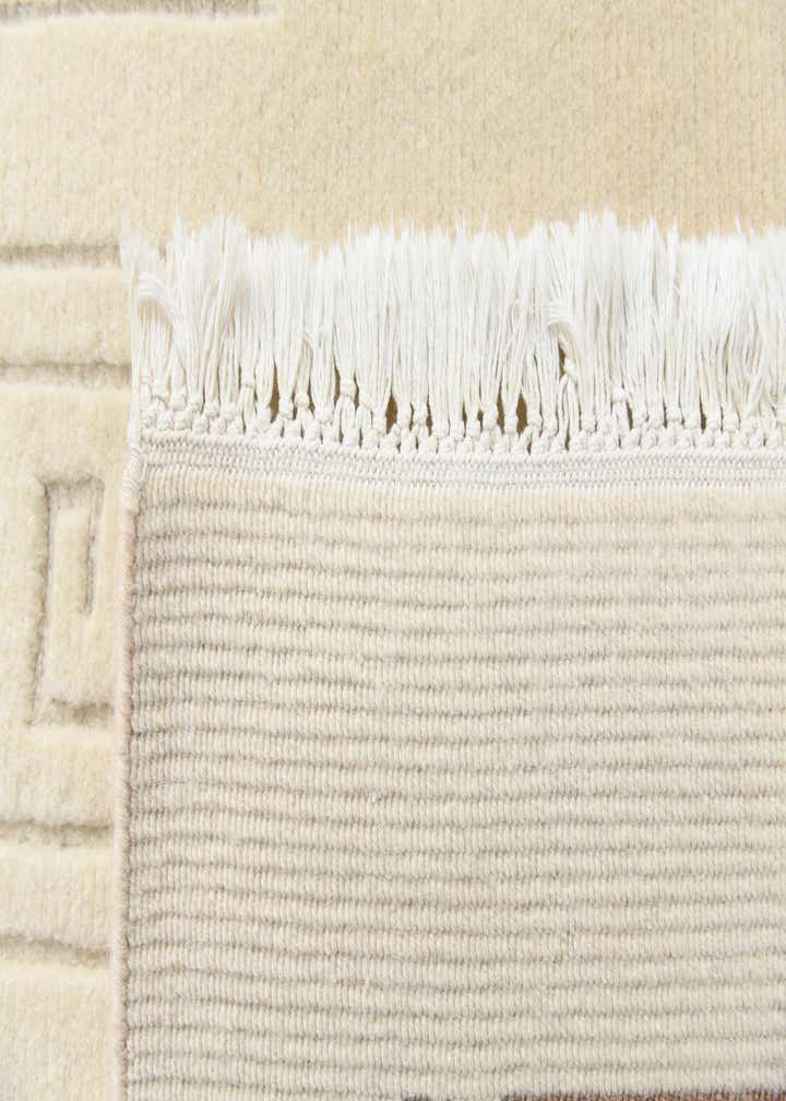 6' 8 x 9' 4 Hand Knotted Darya Wool Rug