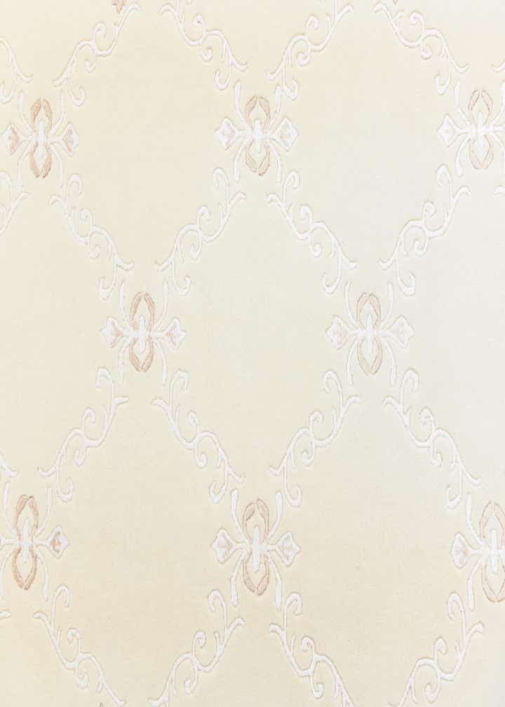 5' 8 x 7' 8 Hand Knotted Darya Rug