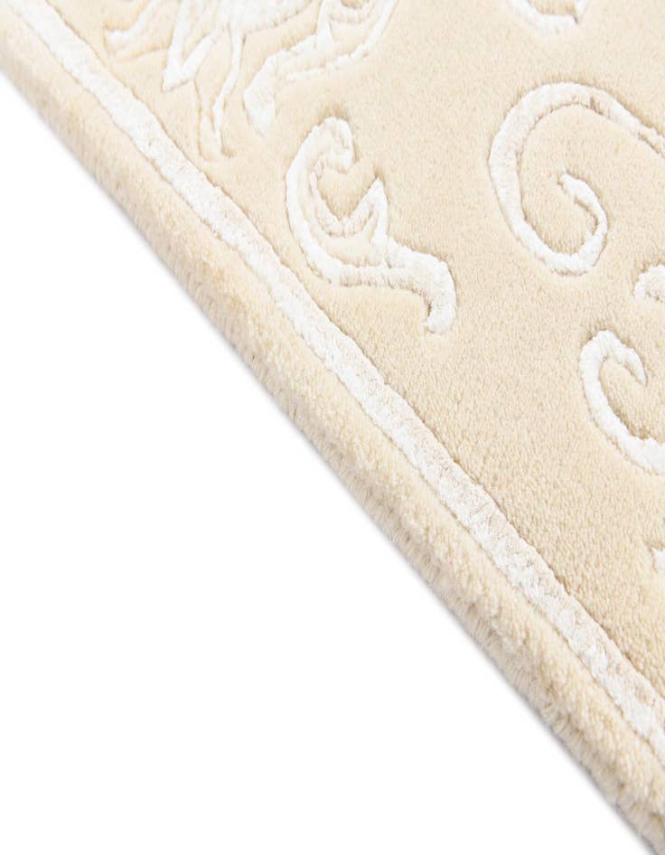 Detail image of 2' 7 x 4' 9  Hand Knotted Darya Rug