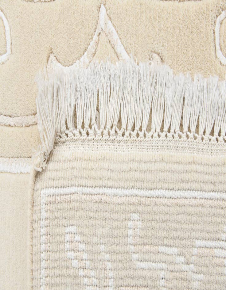 Detail image of 2' 7 x 4' 9  Hand Knotted Darya Rug