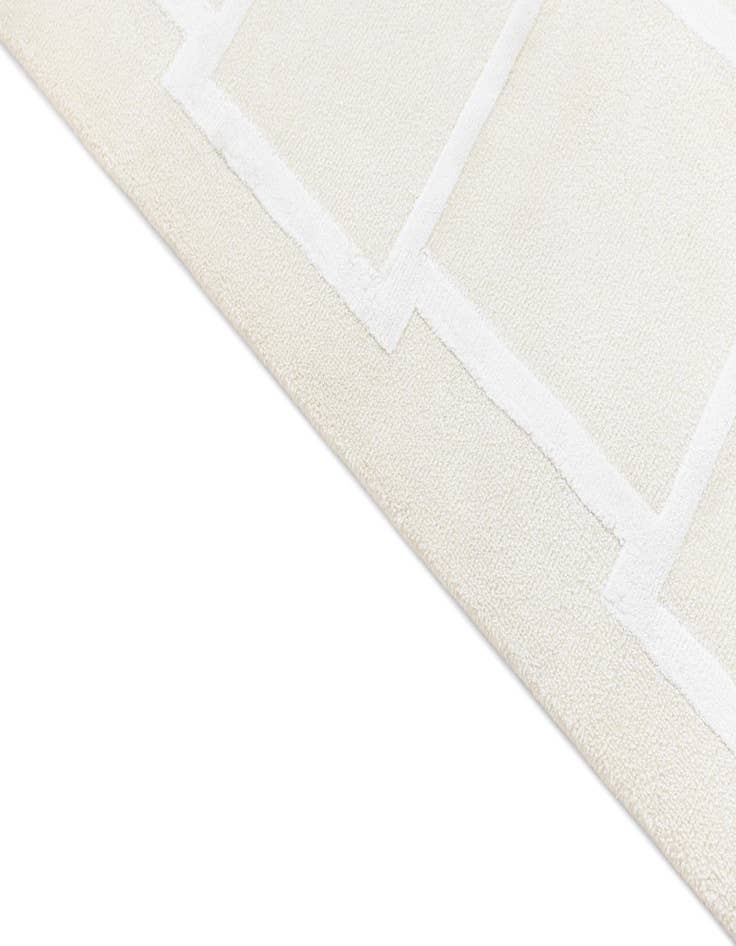 Detail image of 5' 9 x 8'  Hand Knotted Darya Wool Rug