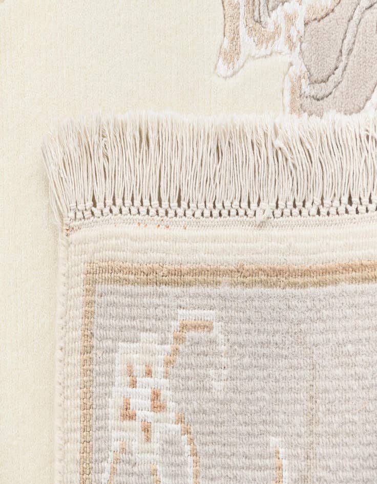 Detail image of 2' 9 x 5'  Hand Knotted Darya Rug