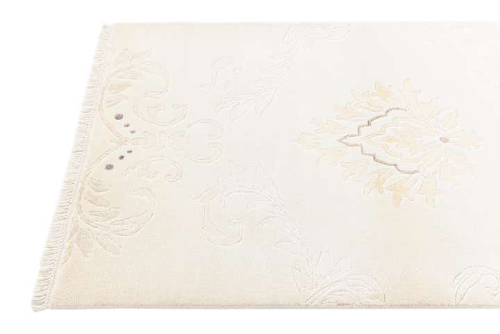 2' 7 x 4' 10 Hand Knotted Darya Rug