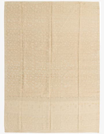 9' 1 x 12' 5 Hand Knotted Darya Wool Rug