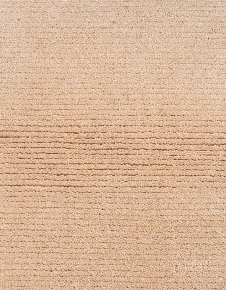 Detail image of 3' 1 x 5'  Hand Knotted Nepal Wool Rug