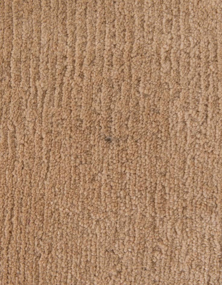 Detail image of 3' 1 x 5' 4  Hand Knotted Nepal Wool Rug