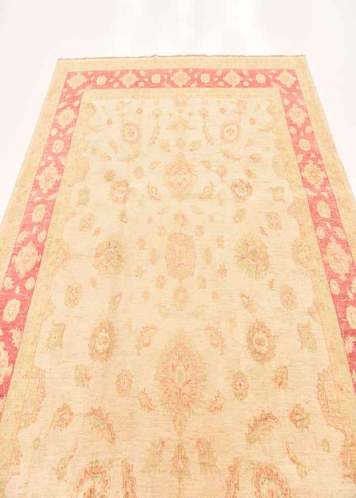 8' 5 x 9' 9 Hand Knotted Peshawar Ziegler Rug