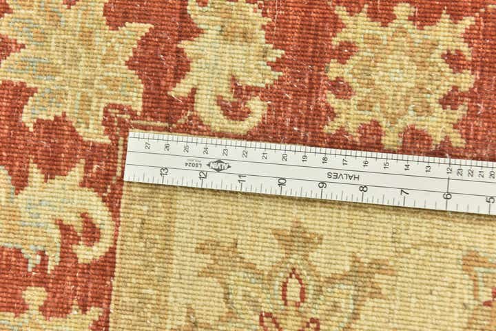 3' 3 x 4' 11 Hand Knotted Peshawar Ziegler Rug