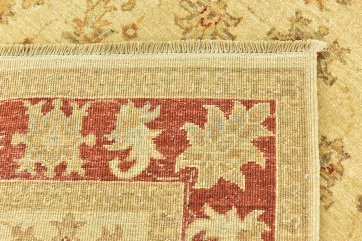 3' 3 x 4' 11 Hand Knotted Peshawar Ziegler Rug